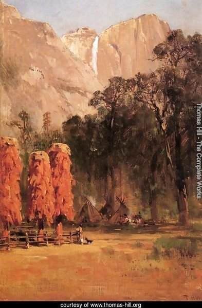 Acorn granaries, by Piute Indian camp in Yosemite