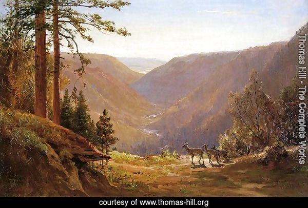 Valley with Deer