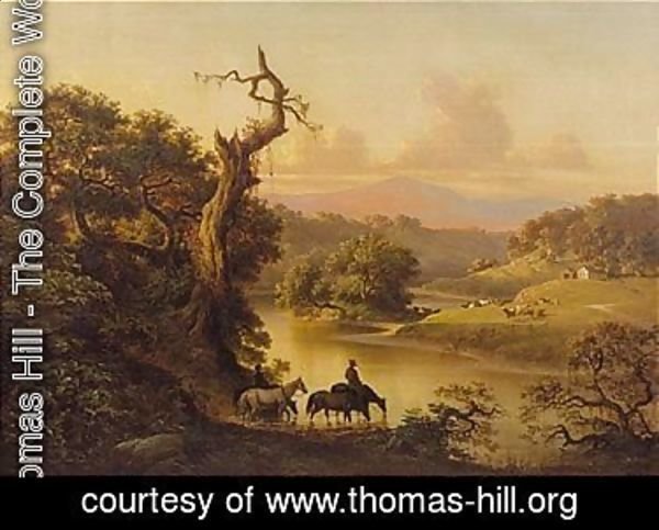 Thomas Hill - Napa Valley