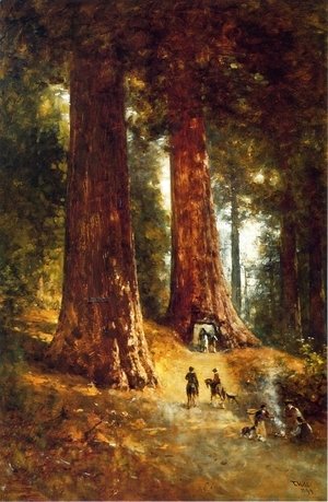 Thomas Hill - In the Redwoods