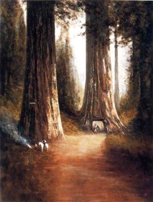 Thomas Hill - Sequoia Gigantea